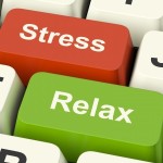 stress_relax_s copia