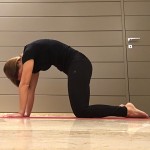 Cominciare bene la giornata con lo yoga – Claudia Porta su iocominciobene – posizione gatto 2